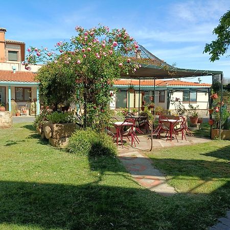 Casa Rural Del Corral 말파르티다데플라센시아 외부 사진