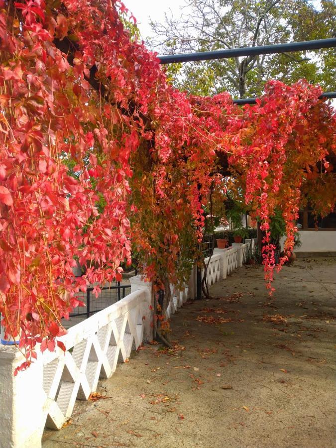 Casa Rural Del Corral 말파르티다데플라센시아 외부 사진