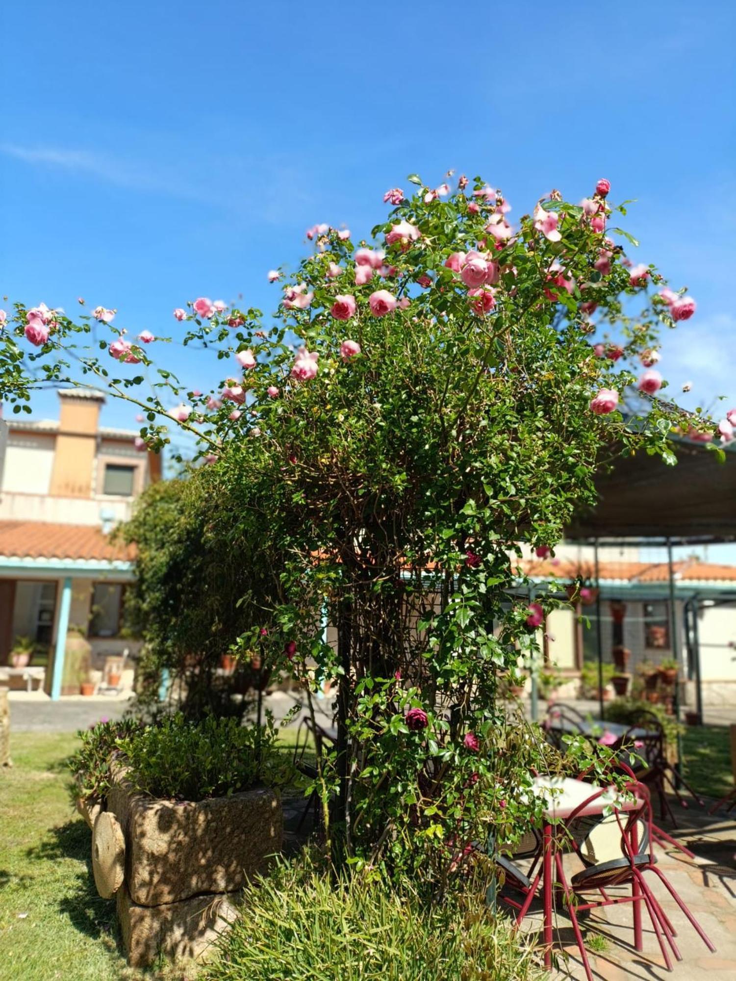 Casa Rural Del Corral 말파르티다데플라센시아 외부 사진