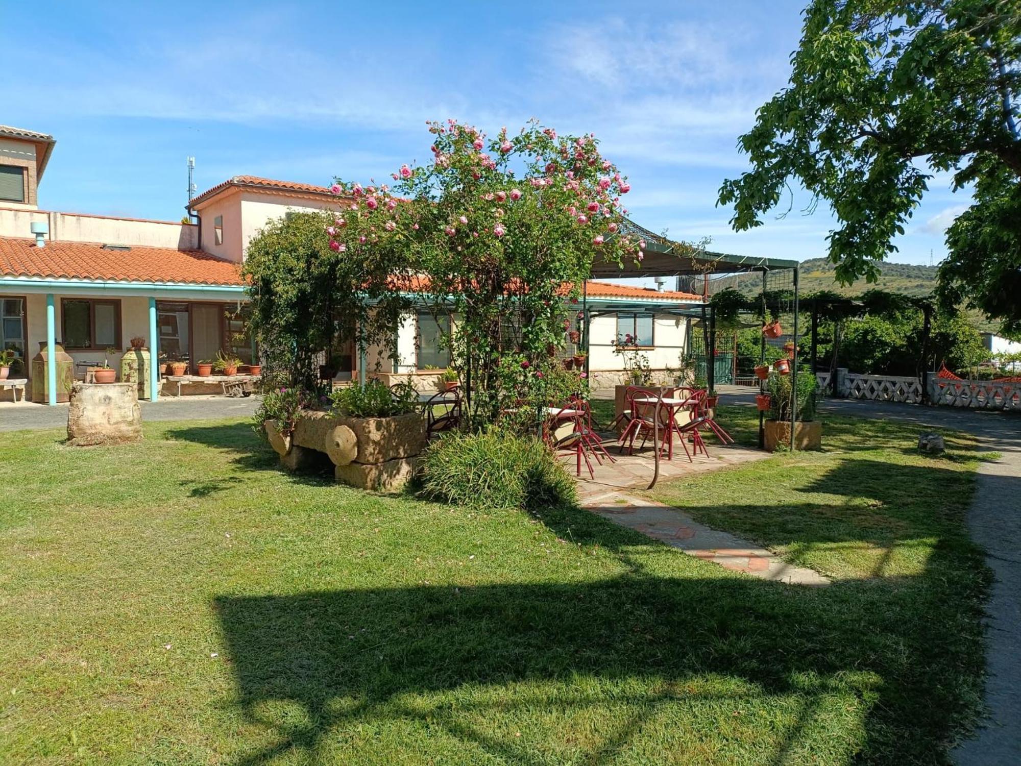 Casa Rural Del Corral 말파르티다데플라센시아 외부 사진